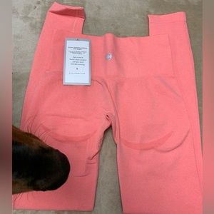 Cameeli Seamless leggings